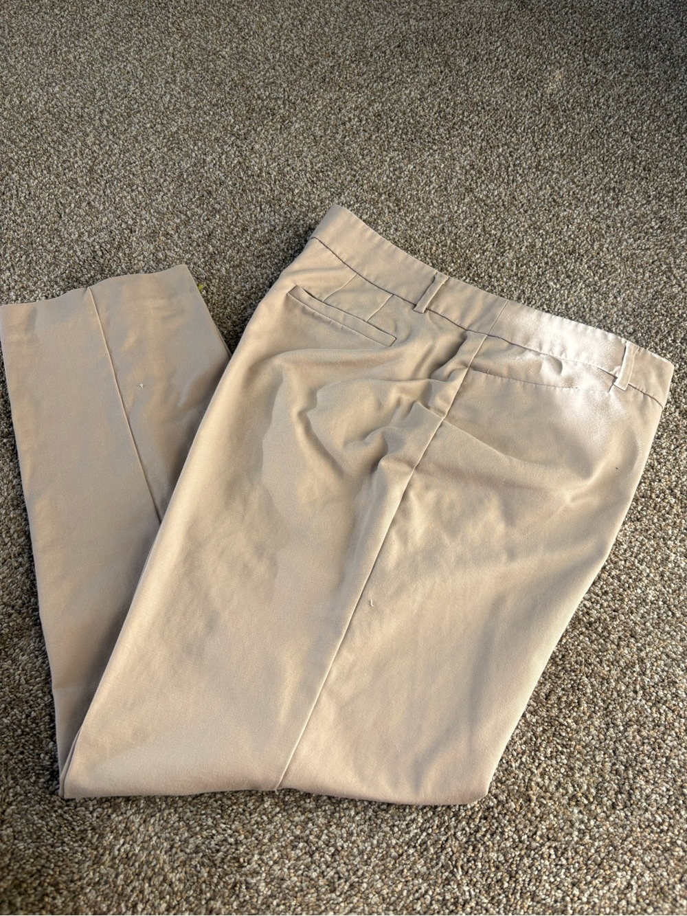 Dana Buchman Beige Ankle-Length Dress Pants